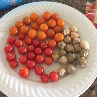 Just a few of their many different tomatoes. Unbelievably sweet - literally, like candy!