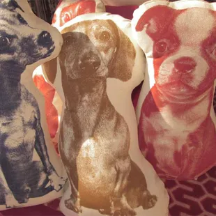 kind loving housebroken pillow looking for a good home