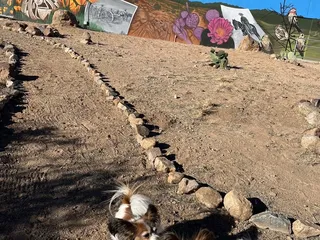 El Paso Museum of Archaeology