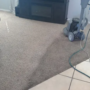 Meet our new team member; "Rotator, the carpet carpet beast"