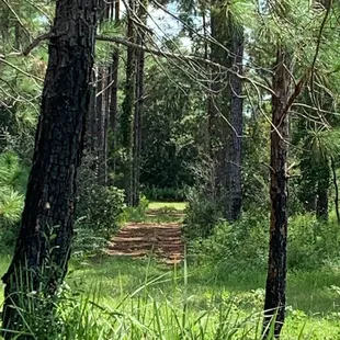 Walking trails