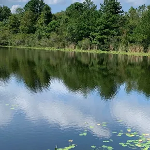 You can fish here