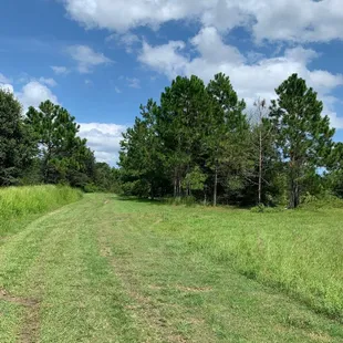 Nice place to go for a walk
