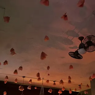 Paper poppies adorn the ceiling in the main room