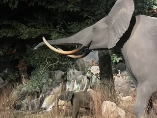Rolling Hills Zoo