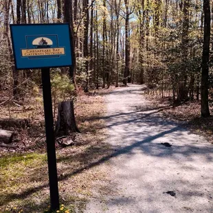 The trail to the archaeological site.
