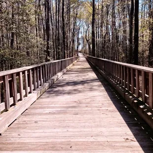 A bridge on the trail