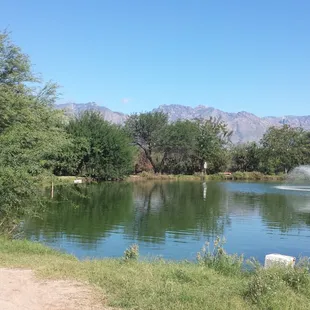 Pond