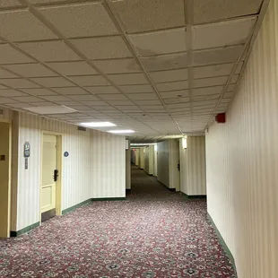 More wet, sagging ceiling.