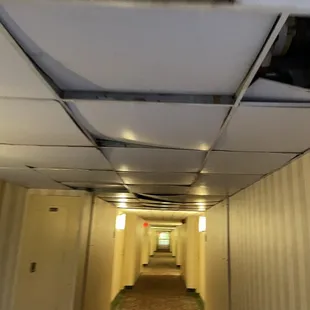 Loose, moldy ceiling