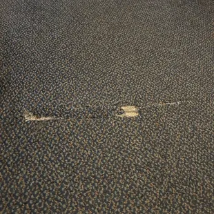 First thing as you enter the room- crappy carpet.