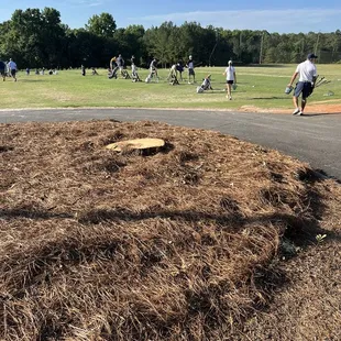 Remember that big tree by the driving range? Lightening took it down 6/16/22