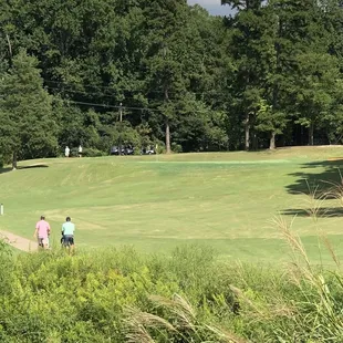 #17, 172 yard Par 3