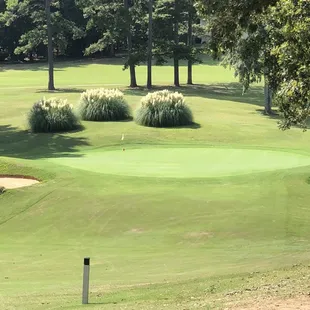 approach to the green on #16