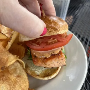 Salmon sliders