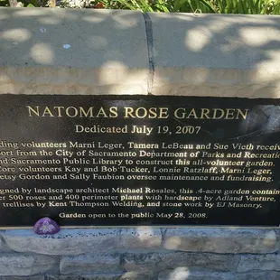 Beautiful flowers  #rocksforryan