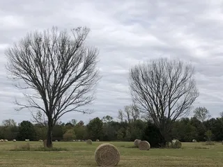 Spiro Mounds State Archaeological Site