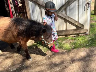 The barn riding lessons