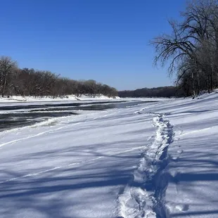 Snowshoe tracks along river