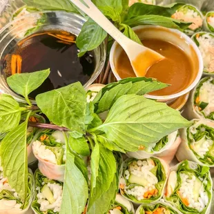Spring Rolls Appetizer