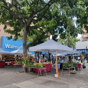 Located between Walmart and Ross on Fort Street Mall