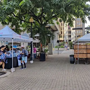Facing King Street, there's a live plant vendor (closest to the street), a produce booth on the right, and crafts/gifts on the left