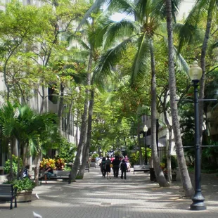 Mall looking mauka from Queen Street