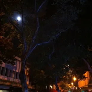 Full Moon over Fort Street Mall