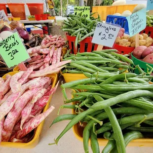 a variety of vegetables