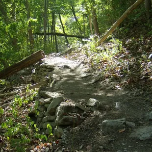 Trail