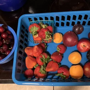 Some of today's bounty. We already shared with our neighbor!
