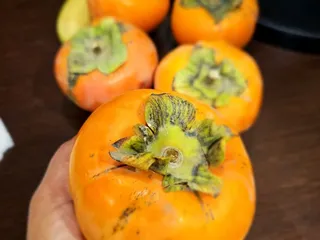 Vineyard Farmer's Market