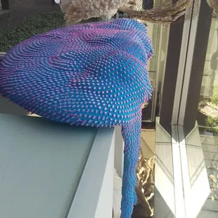 Dali vibez, cool piece by Dan Lam