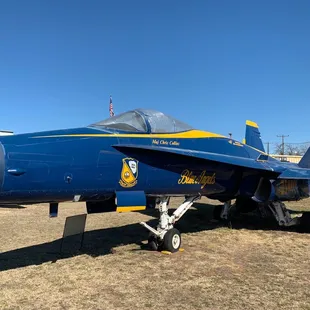 Everyone knows the Blue Angels!