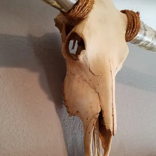 Steer Head, Part of our logo!