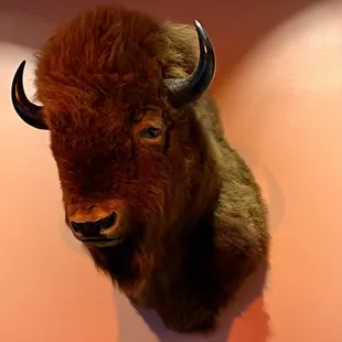 "Random" feeling from this Great Plains exihibit