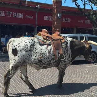 How long horn in front of the shop