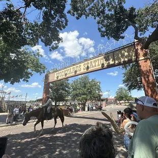 Parade to see the bulls