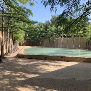 The quiet pool