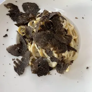 Truffle Pasta