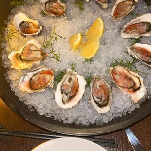 Oysters