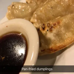Pan-fried dumplings