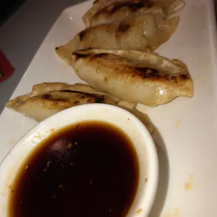 Pan-fried dumplings, not as good today.