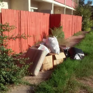 Trash is left for days on property until cleaned up. Long weeds and grass block sidewalks.