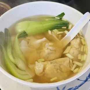 Dumpling Soup