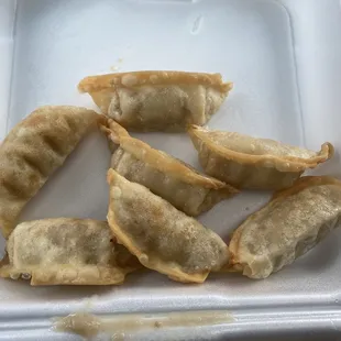 Fried Dumplings nothing special