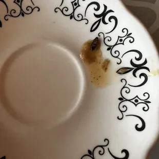 The roach found in the hot and sour soup.