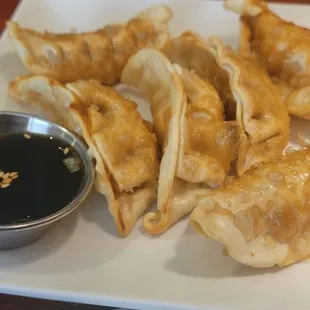 Pot Stickers