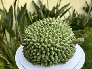 Delicieuse Princesse Bakery