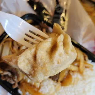 Potsticker